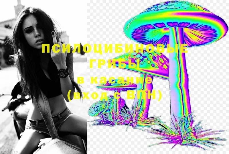 omg ССЫЛКА  Пыталово  Галлюциногенные грибы MAGIC MUSHROOMS 